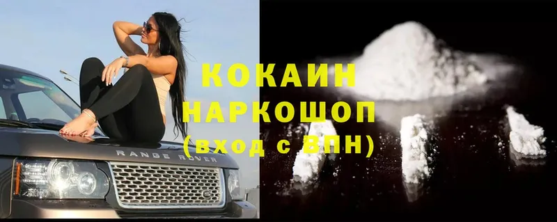 купить   Змеиногорск  COCAIN Fish Scale 